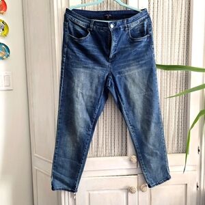 Universal Standard Skinny Jeans Size 14 EUC